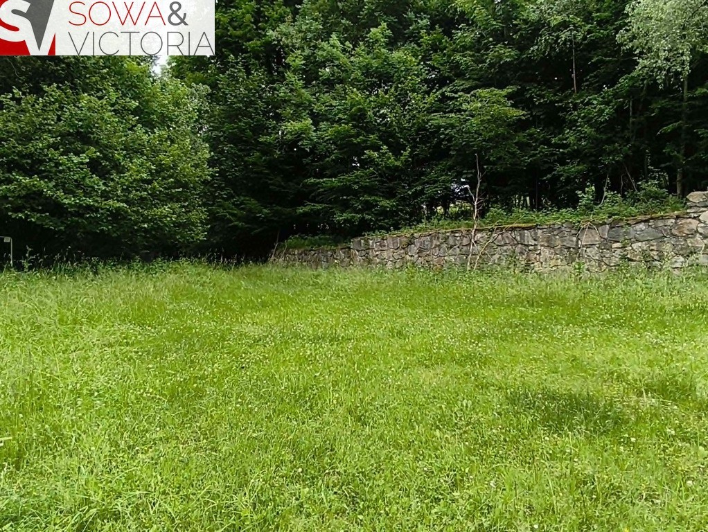 Dom bez sąsiedztwa , działka 9300 m 2 - Więcej