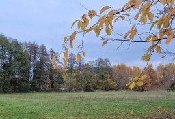 Działka budowlana Dąbrówka Wielka