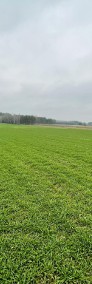 Działka rolna Tańsk- Grzymki, gmina Dzierzgowo, powiat mławski-3
