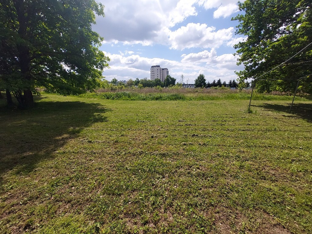 działka lub grunt na wynajem