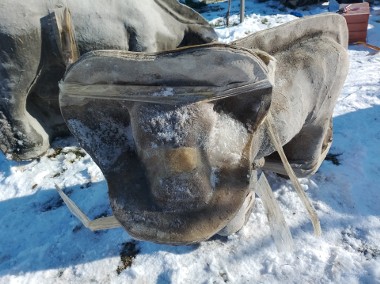 Forma Formy odlewnicze Krowa Krówka Zwierzęta Odlewy Ozdoby Ogród-2