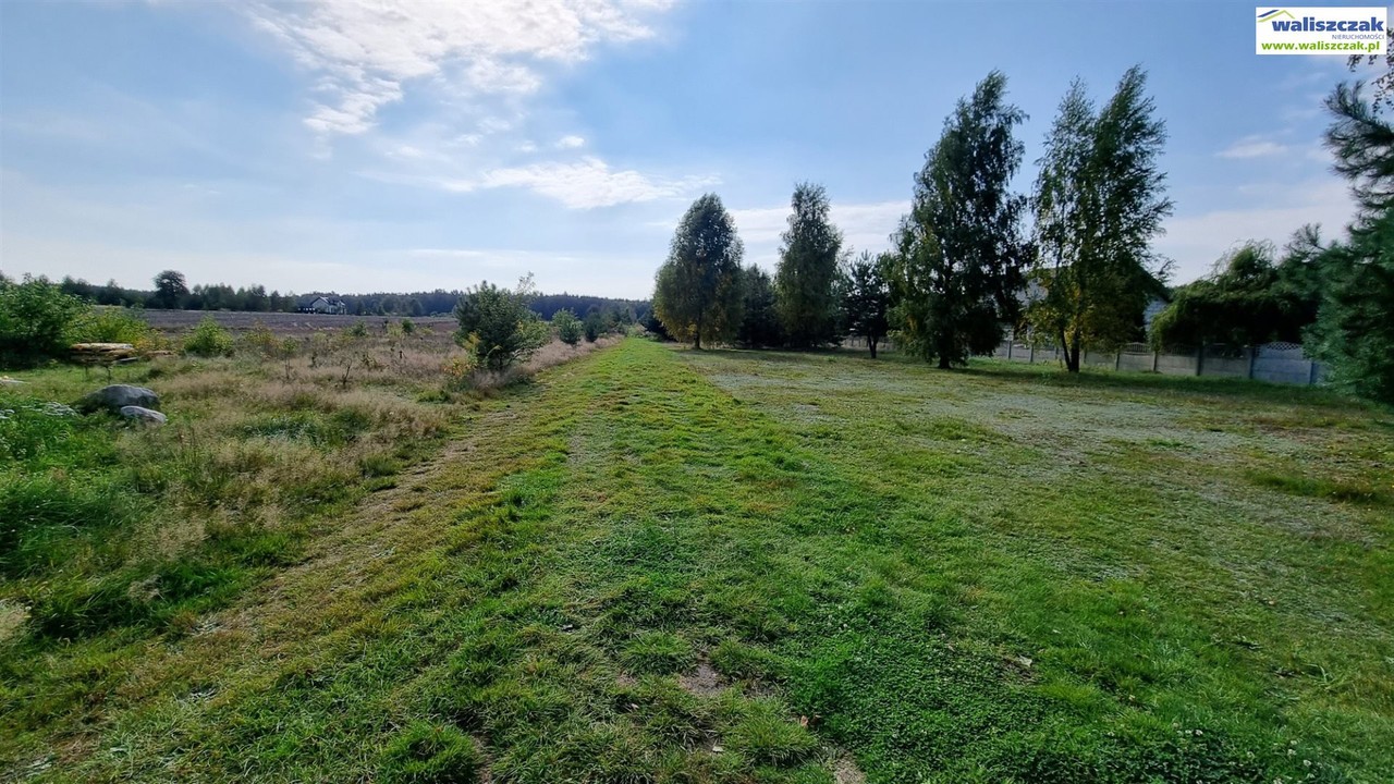 Zalew Sulejowski, działki z WZ - Widok 3