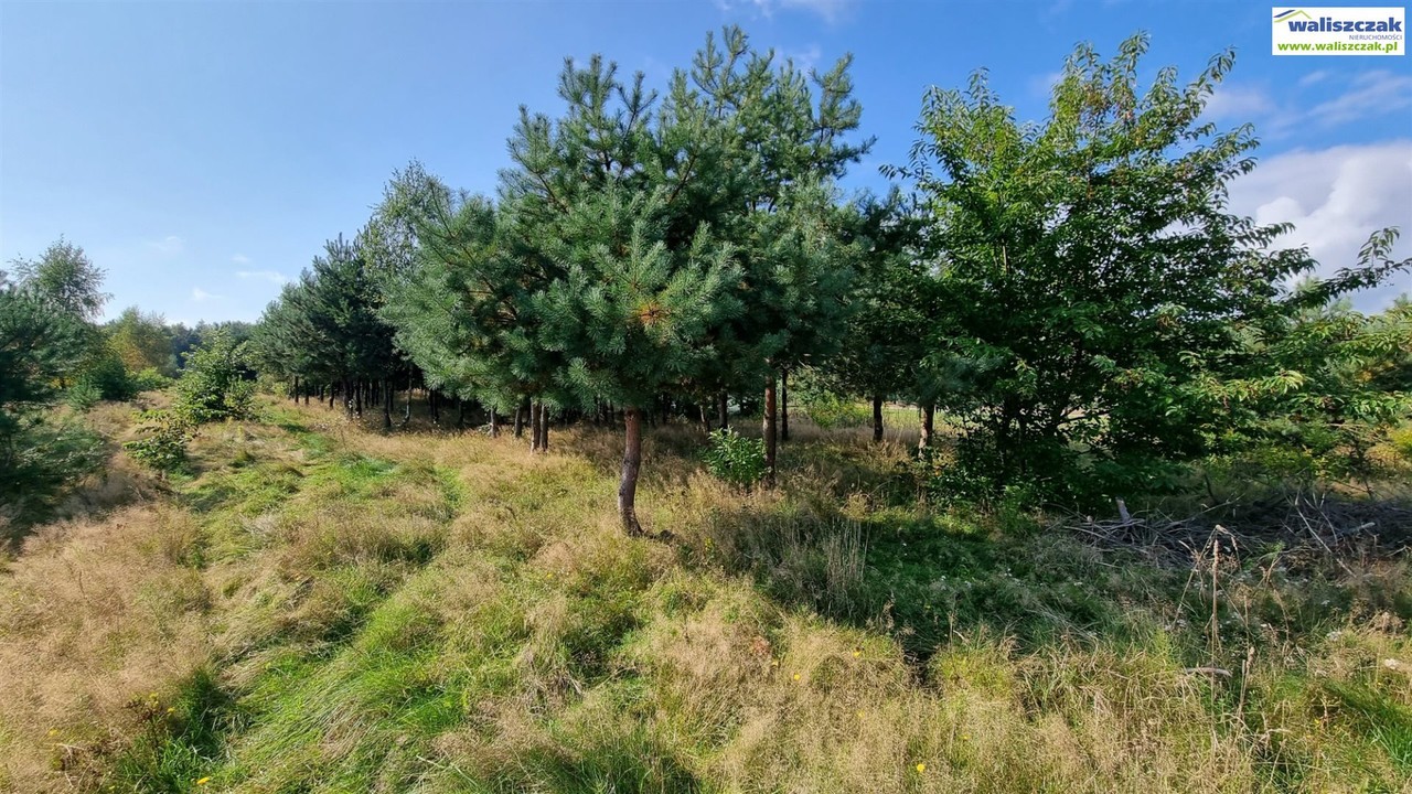 Zalew Sulejowski, działki z WZ - Widok 5
