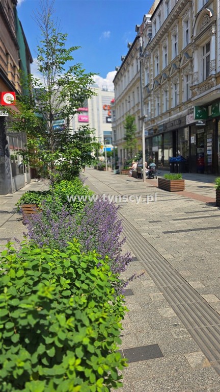 M3 ścisłe centrum blisko parku niski czynsz 250zł - Widok 2
