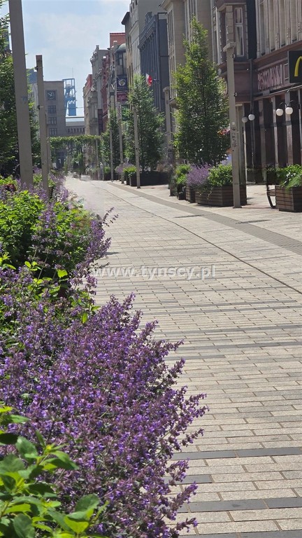 M3 ścisłe centrum blisko parku niski czynsz 250zł - Widok 3
