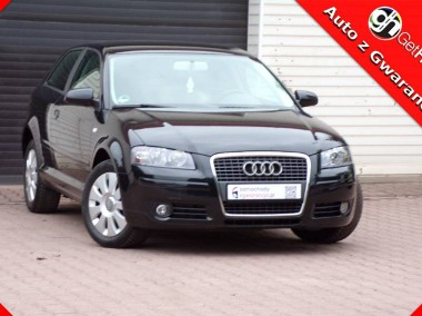 Audi A3 II (8P) Lift / Klimatronic /1,6 /115KM /2006r-1