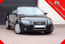 Audi A3 II (8P) Lift / Klimatronic /1,6 /115KM /2006r
