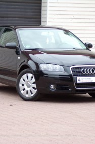 Audi A3 II (8P) Lift / Klimatronic /1,6 /115KM /2006r-2
