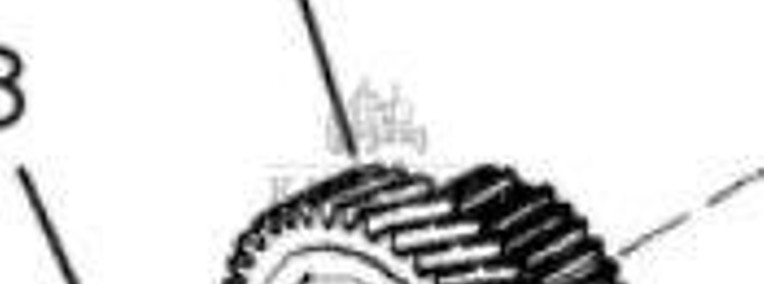 Case Magnum MX New Holland TG Koło Zębate 37 Zębów 86987610-1