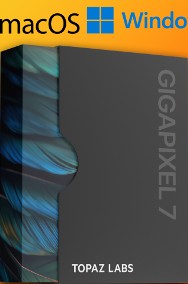 Topaz Gigapixel AI - Windows / MacOS Dożywotnia licencja + przyszłe aktualizacje-2