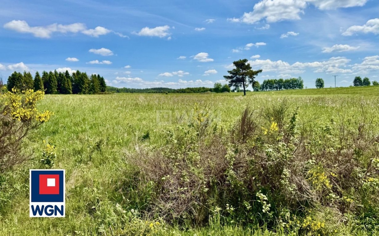 Działka na sprzedaż, 1196 m², Borzytuchom Jutrzenka - Widok 6