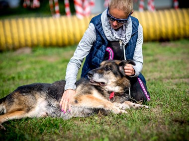 LEO mnóstwo energii ma i nieskończoną miłość Ci da!-1