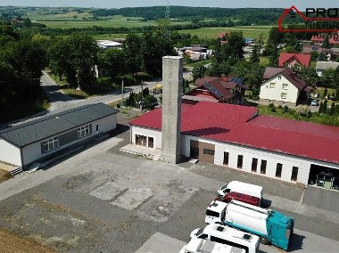 Lokal Solec-Zdrój, ul. Zborów, Kasztanowa-1