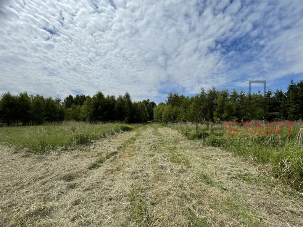Siedlisko z lasem. Zapraszam - View 4
