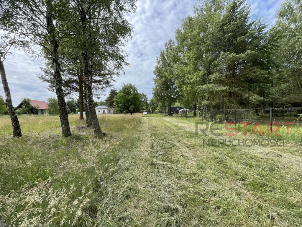Siedlisko z lasem. Zapraszam - More