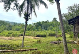 Działka inna Phang Nga