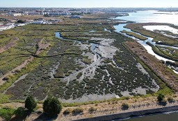 Działka inna Montijo E Afonsoeiro