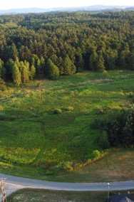 Duża działka z możliwościami w Podlesiu-2