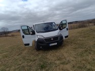 Fiat Ducato 2021r Furgon Kamera cofania