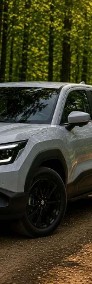 Suzuki-3