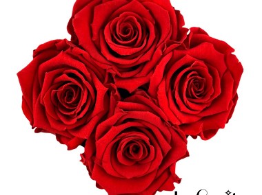 Czerwone wieczne róże w pudełku na prezent flowerbox Infinity Rose Dzień Kobiet-2