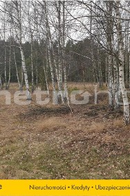 Działka leśna Stawinoga-2