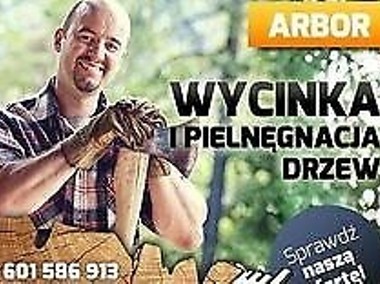Wycinka  drzew Wrocław  ARBOR  -1