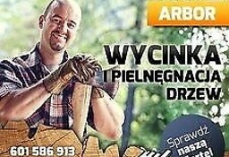 Wycinka  drzew Wrocław  ARBOR  