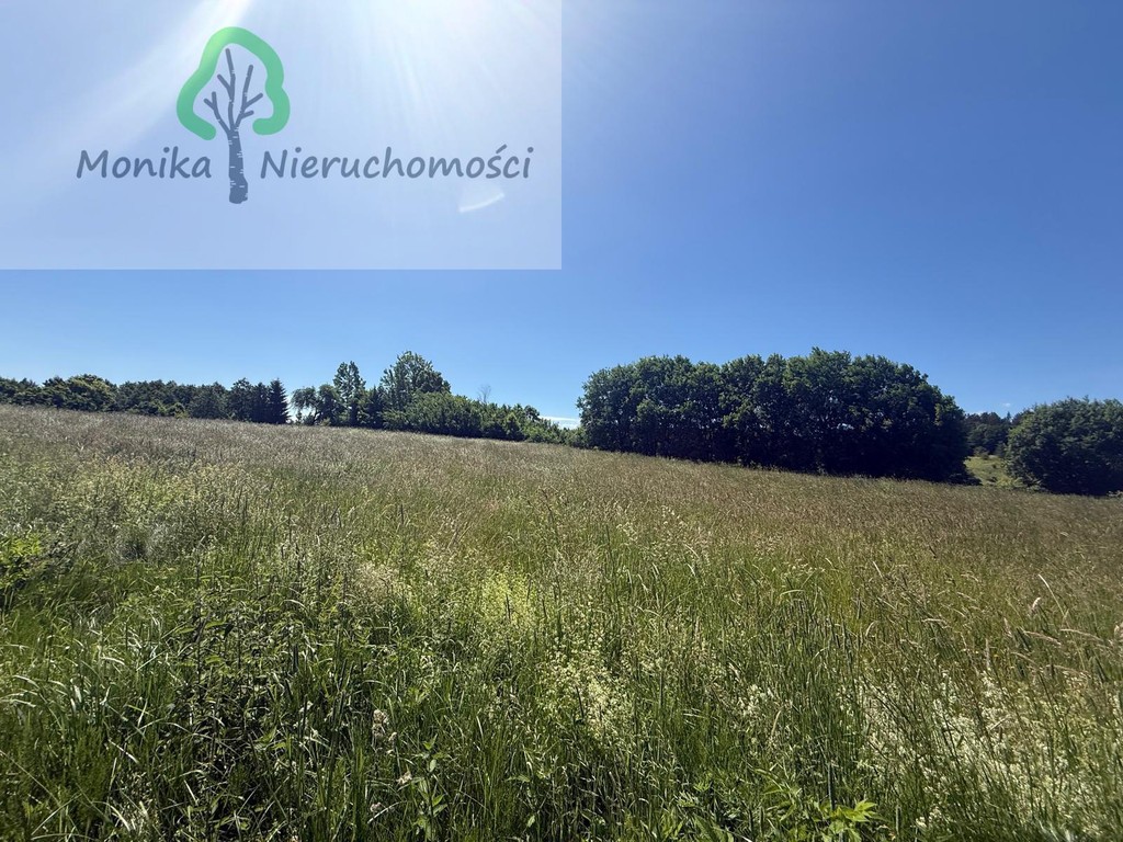 Działka rolna - 16.500 m² za 150 tyś zł – pohled 2