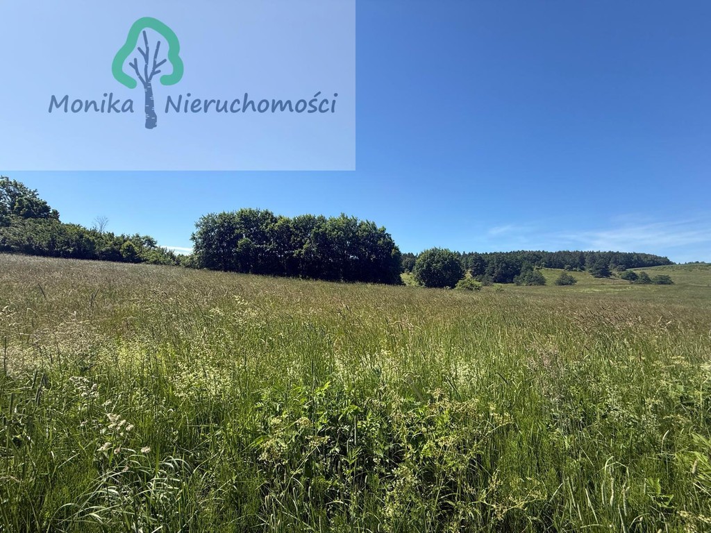 Działka rolna - 16.500 m² za 150 tyś zł – pohled 5