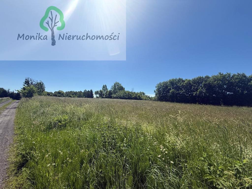 Działka rolna - 16.500 m² za 150 tyś zł – pohled 6