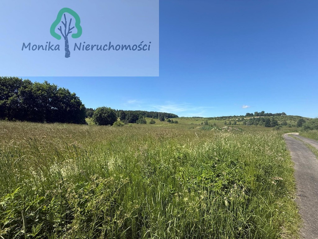 Działka rolna - 16.500 m² za 150 tyś zł – další