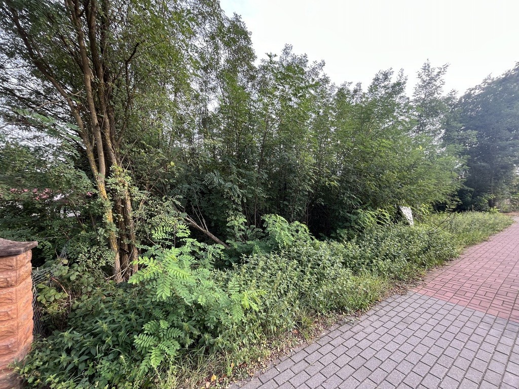 Działka budowlana Wola Chodkowska gm. Kozienice... - Widok 2