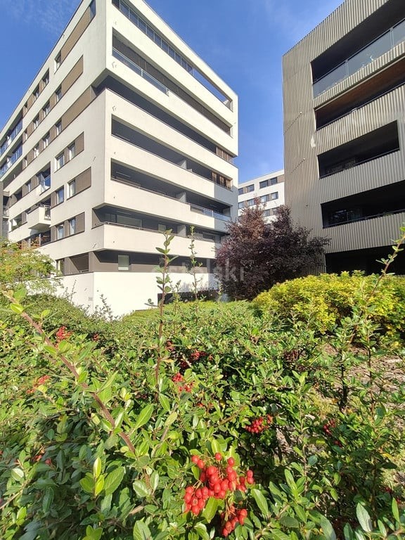 Mieszkanie na wynajem, 47 m² Jeżyce, Botaniczna