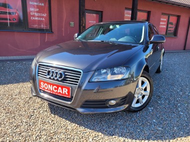 Audi A3 1,6 TDI 105KM+Klimatronik+Alufelgi-1