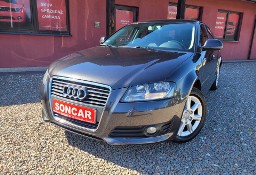 Audi A3 II (8P) Audi A3 1,6 TDI 105KM+Klimatronik+Alufelgi
