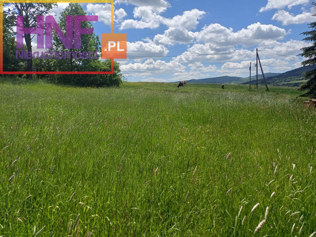 działka Słopnice 11,86ar - Widok 2