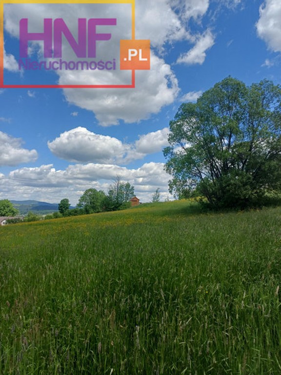 działka Słopnice 11,86ar - Widok 4