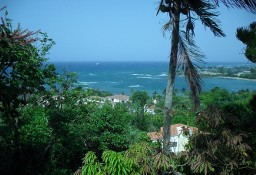 Dom Puerto Plata