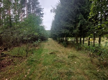 Działka rolna 3001 m2 w Puszczy Zielonce rej. Rakownia-1