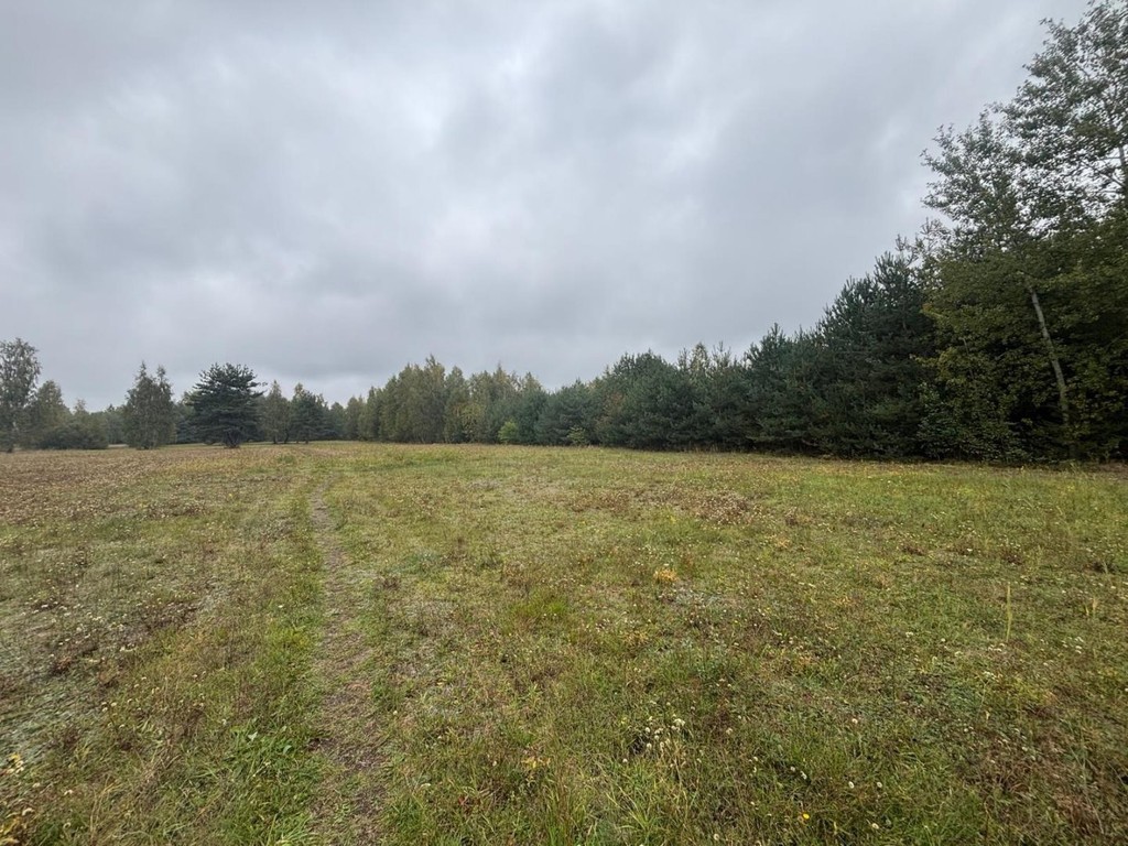 Działka na sprzedaż, 29385 m², Tarczyn Tarczyn - Widok 4