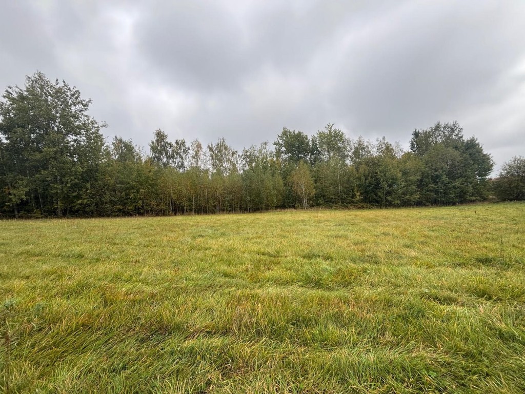 Działka na sprzedaż, 29385 m², Tarczyn Tarczyn - Widok 5
