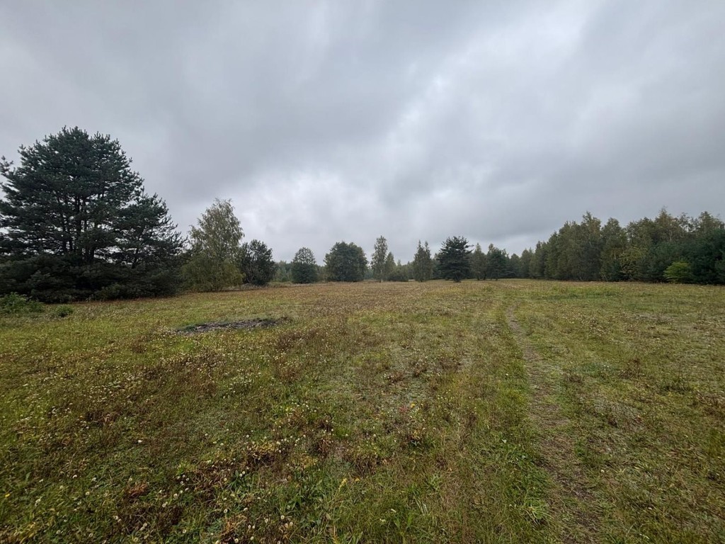 Działka na sprzedaż, 29385 m², Tarczyn Tarczyn - Widok 6