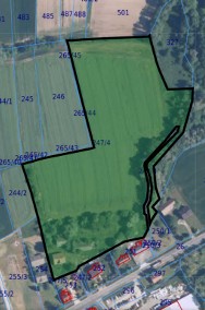 Sprzedam siedlisko 2,8 ha - dawne gospodarstwo rolne - Bezpośrednio-2