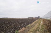 Działka rolna Ołtarzew