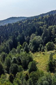 Działki budowlane pośrodku lasu w Słona-2