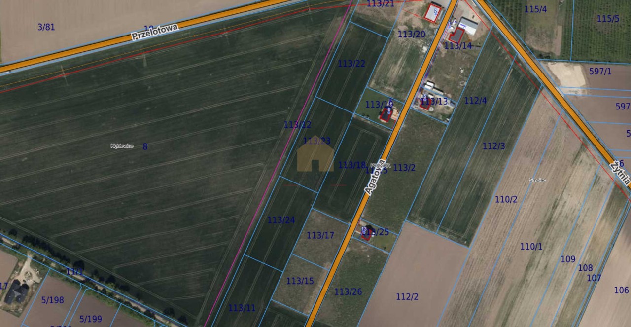 Duża działka zagrodowa 7250 m² wz na dom - Widok 2