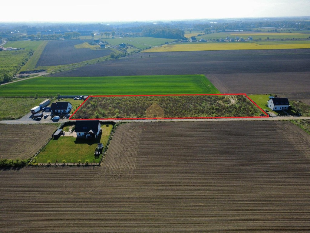 Duża działka zagrodowa 7250 m² wz na dom - Widok 4