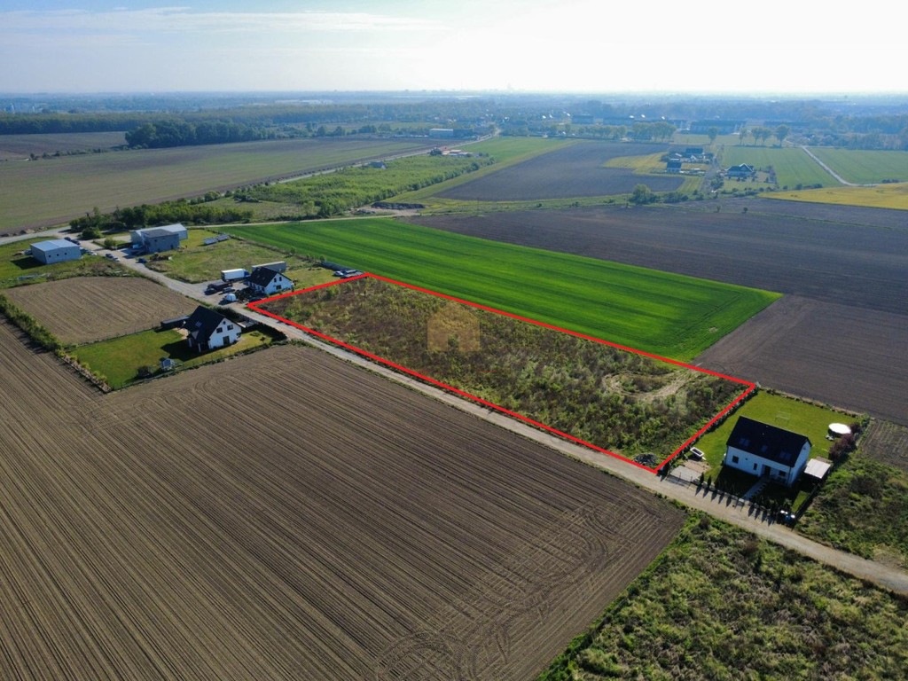 Duża działka zagrodowa 7250 m² wz na dom - Widok 5