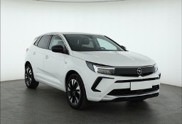 Opel Inny